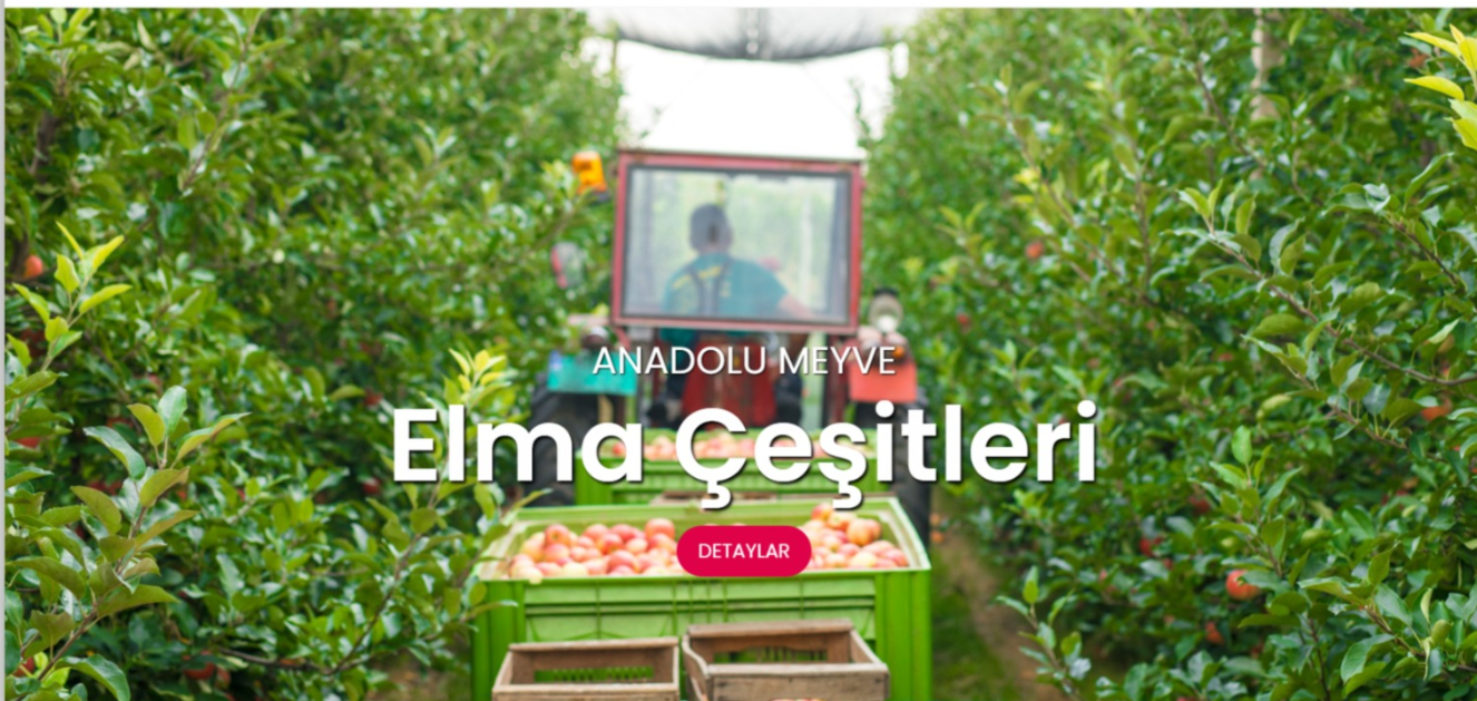 Anadolu Fruit Agricultural Products